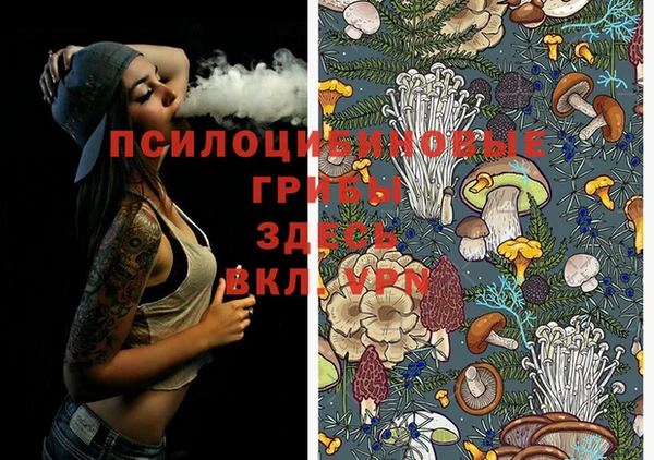 молекула духа Алзамай