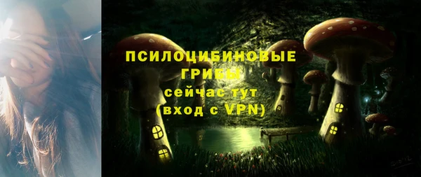 молекула духа Алзамай