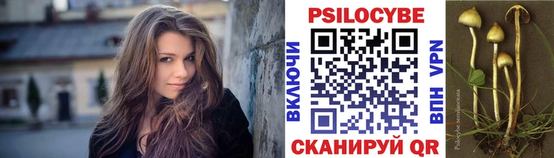 Галлюциногенные грибы Psilocybine cubensis  площадка наркотические препараты  Почеп 